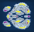 4-Player Snow Large Map full-resolution render
