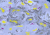 Caverns of Siberia YRIT full-resolution render