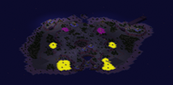 2-Player Temperate Skirmish full-resolution render