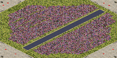 10 Million Dollar full-resolution render
