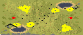 1v1map full-resolution render