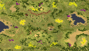 4-Player Temperate Skirmish full-resolution render