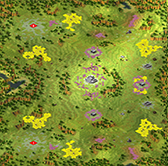 2-Player Temperate Large Map full-resolution render