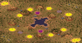 2-Player Temperate Skirmish full-resolution render