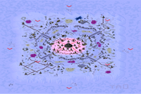 8-Player Snow Large Map full-resolution render