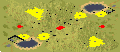 (Observers) Blood Feud (2) full-resolution render