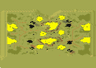 Symmetric Frontline full-resolution render