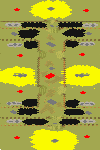 progress preview