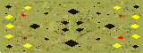 Temperate Resource Conflict full-resolution render