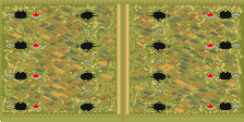 8-Player Temperate Skirmish full-resolution render