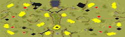 Oasis of Conflict preview