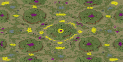 8-Player Temperate Skirmish full-resolution render