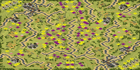 8-Player Temperate Large Map full-resolution render
