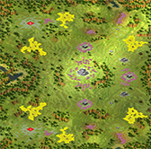 2-Player Temperate Large Map full-resolution render