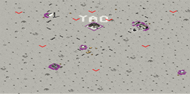 8-Player Lunar Skirmish full-resolution render