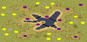 (5) Lake Wise full-resolution render