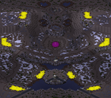 (2) Compact Combat full-resolution render