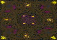 Crystal Forest (4) full-resolution render