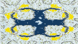(4) Inversion full-resolution render