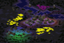 [2] 1 on 1 full-resolution render