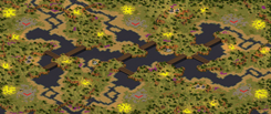 6-Player Temperate Skirmish full-resolution render